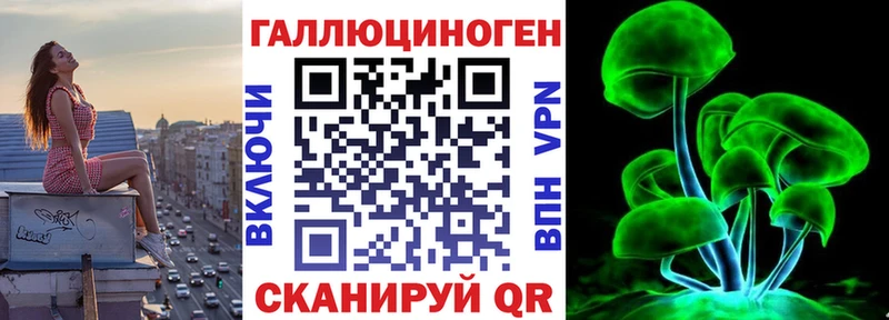 продажа наркотиков  Качканар  Псилоцибиновые грибы Psilocybe 